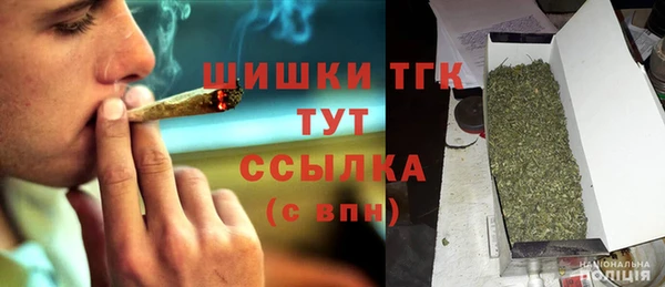 мдпв Бронницы