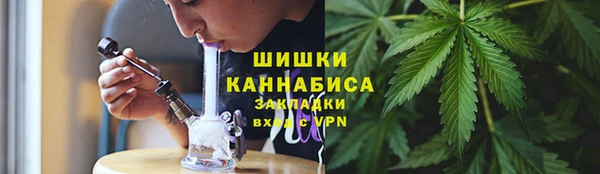 мдпв Бронницы