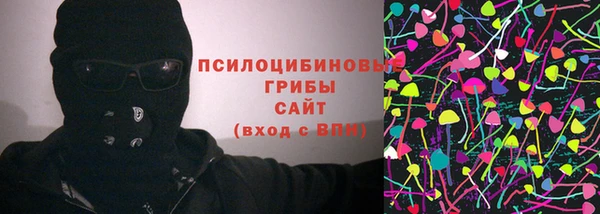 сатива Гусиноозёрск