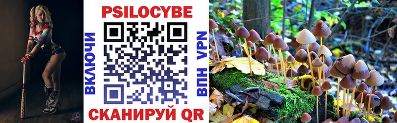Псилоцибиновые грибы мицелий  мега ССЫЛКА  Меленки 